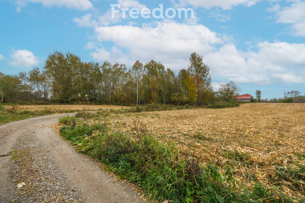 Działka 7 400,00 m², oferta nr , 11504/3685/OGS, Budy Łańcuckie