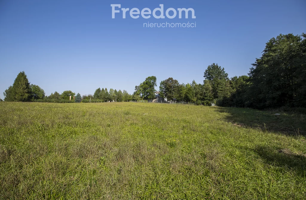 Działka 1 300,00 m², Chmielnik, Sprzedaż