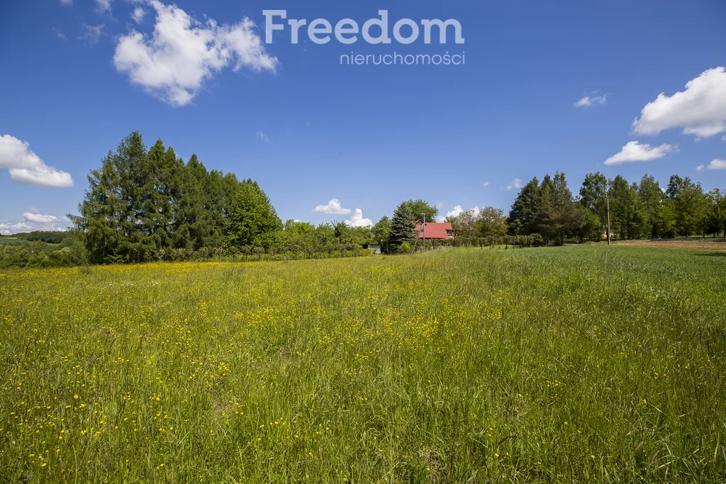 Działka 7 259,00 m², oferta nr , 10880/3685/OGS, Chmielnik