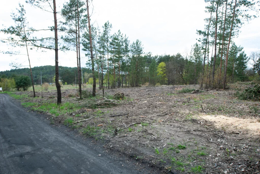 Apartamenty 11440/3685/OGS Chodzież