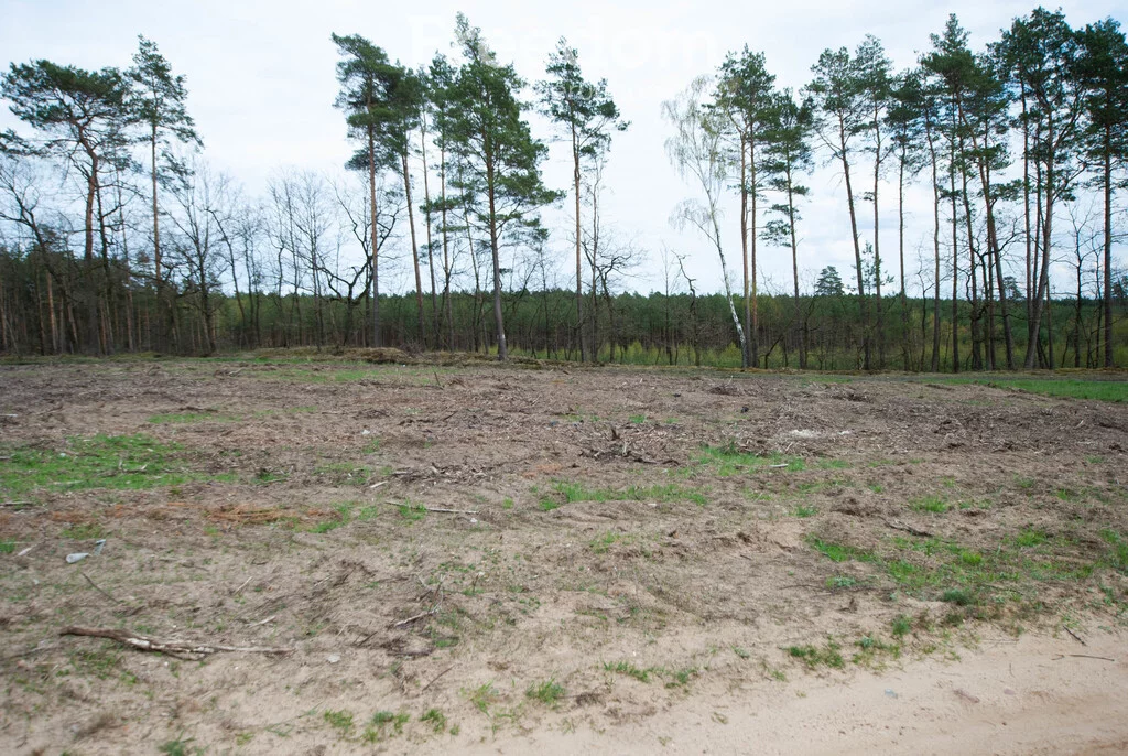 Działka 1 000,00 m², oferta nr , 11440/3685/OGS, Chodzież