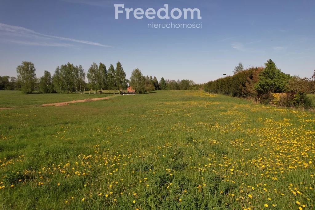 Działka 10 078,00 m², oferta nr , 7882/3685/OGS, Mrozy Wielkie, Cicha