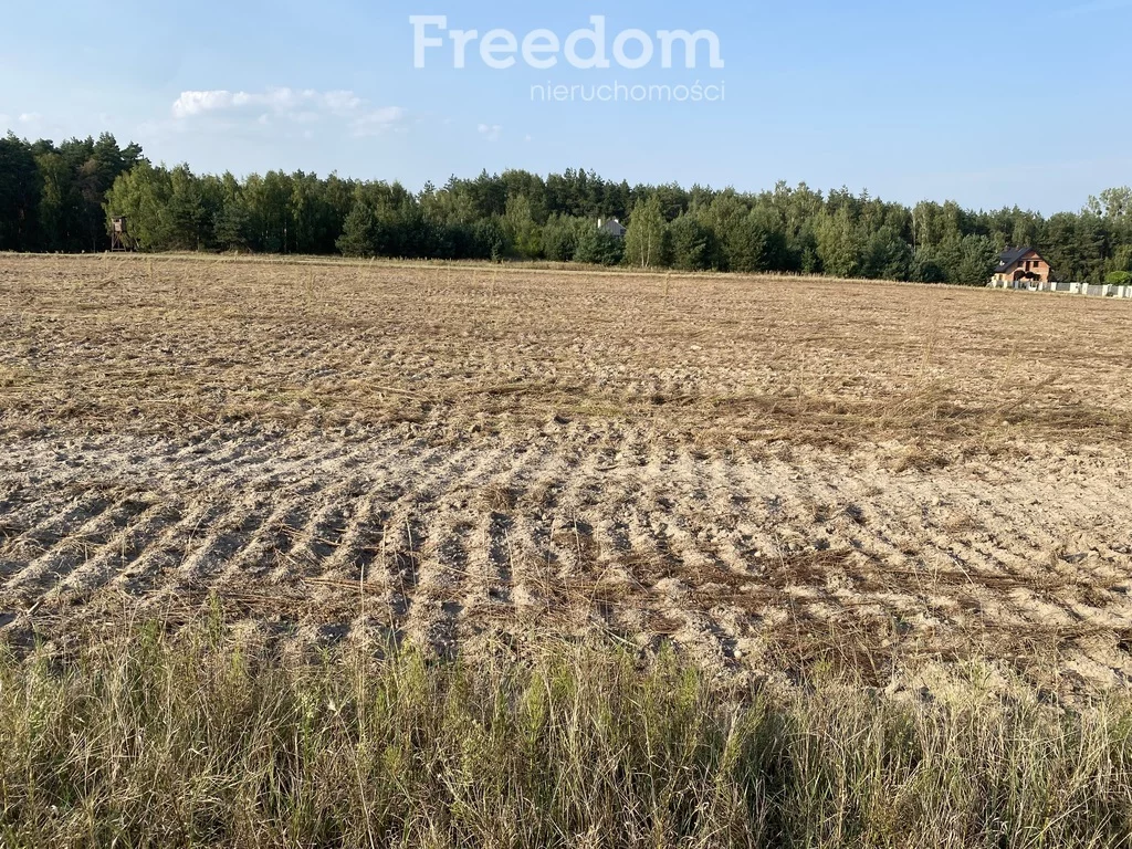Działka 9 200,00 m², oferta nr , 8656/3685/OGS, Ciechocin