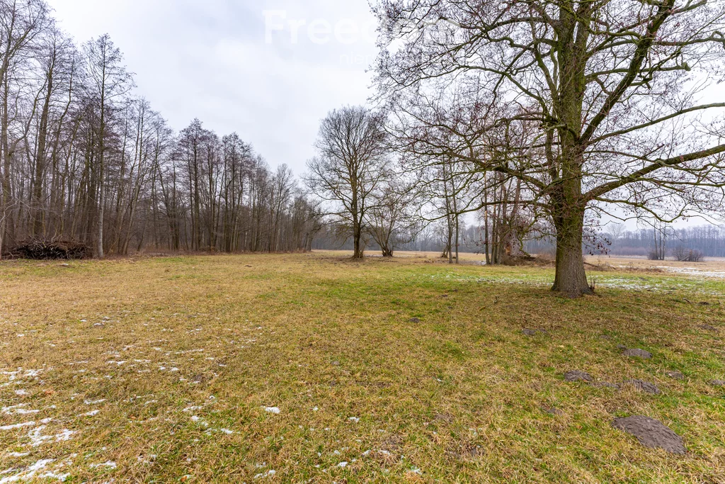 Działka 23 166,00 m², oferta nr , 10032/3685/OGS, Ciepłe