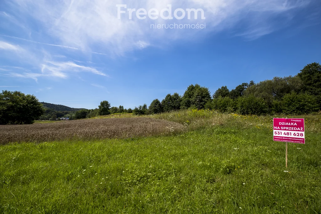 Działka 9 593,00 m², Cieszyna, Sprzedaż