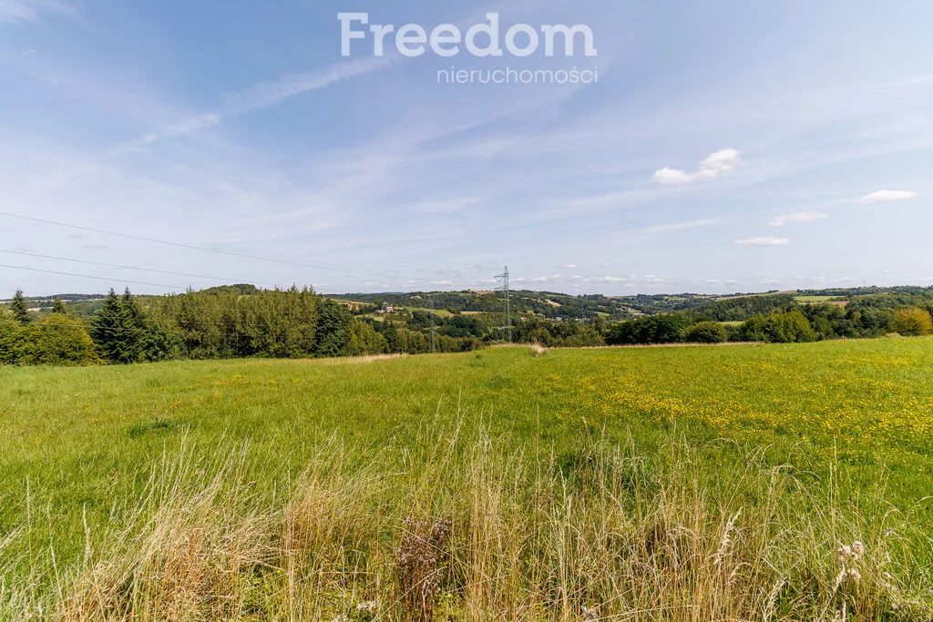 Działka 1 613,00 m², oferta nr , 11075/3685/OGS, Ciężkowice