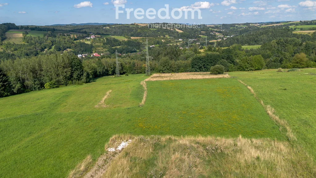 Działka 1 613,00 m², oferta nr , 11075/3685/OGS, Ciężkowice