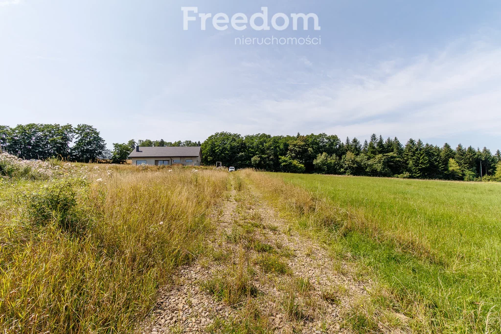 Działka 1 613,00 m², oferta nr , 11075/3685/OGS, Ciężkowice