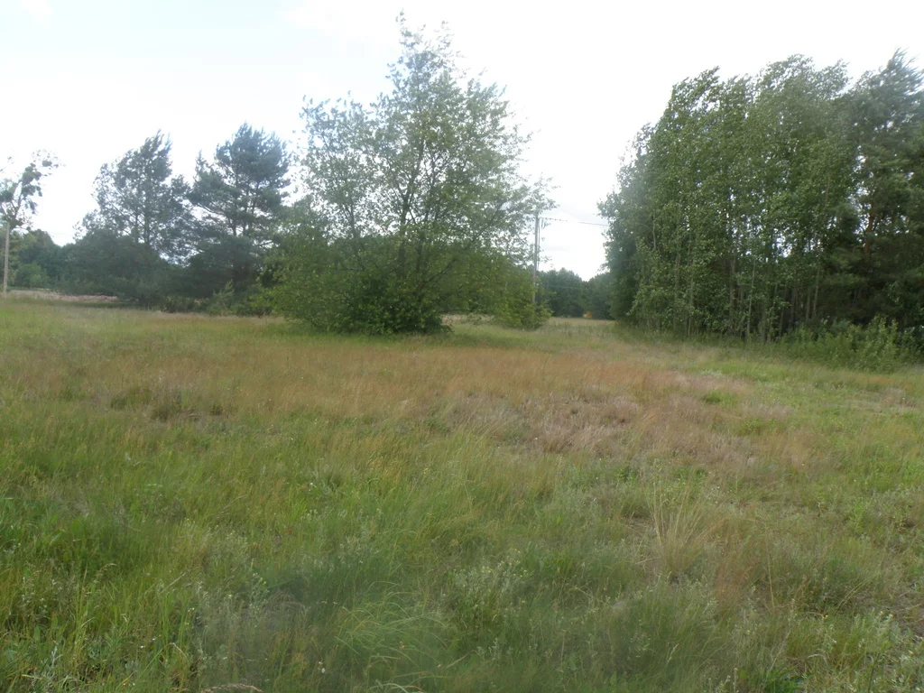 Działka 3 362,00 m², oferta nr , 10769/3685/OGS, Czarne Błoto