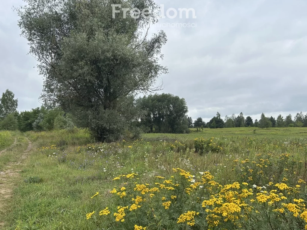 Apartamenty 11069/3685/OGS Czosnów