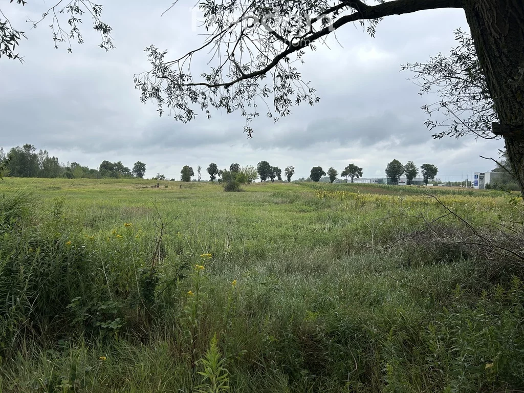 Działka 2 366,00 m², oferta nr , 11363/3685/OGS, Czosnów