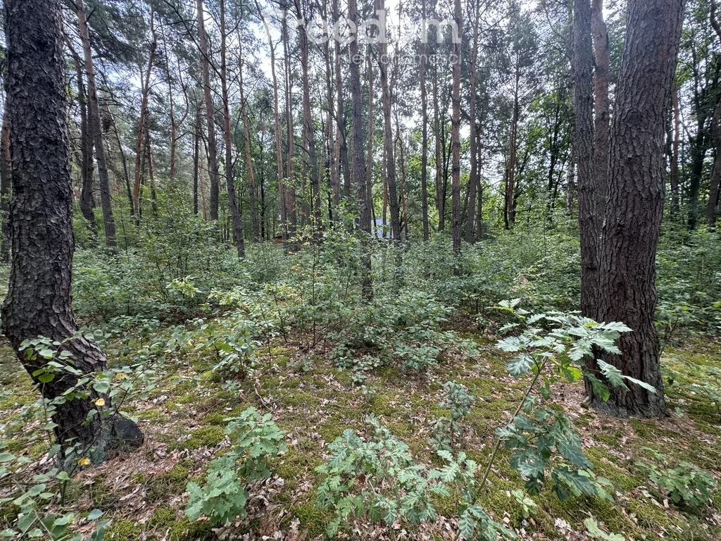 Działka 2 368,00 m², oferta nr , 8691/3685/OGS, Dąbrowa Kozłowska