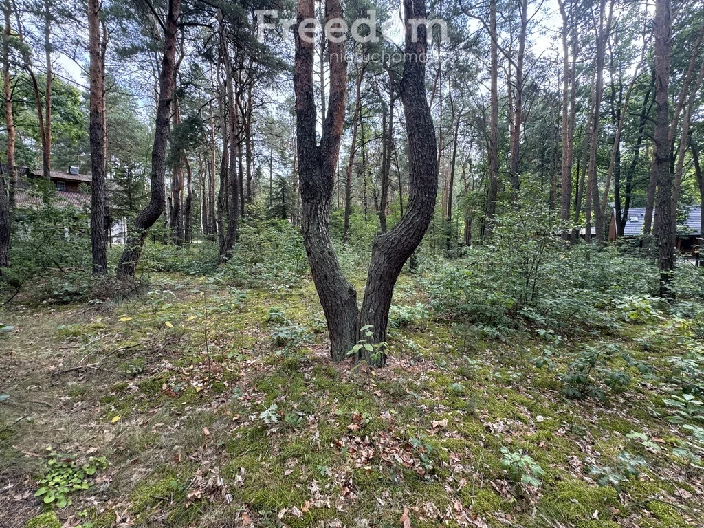 Działka 2 368,00 m², oferta nr , 8691/3685/OGS, Dąbrowa Kozłowska