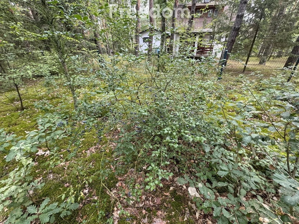 Działka 2 368,00 m², oferta nr , 8691/3685/OGS, Dąbrowa Kozłowska