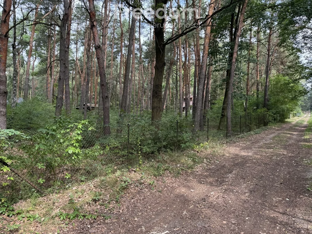 Działka 2 368,00 m², oferta nr , 8691/3685/OGS, Dąbrowa Kozłowska