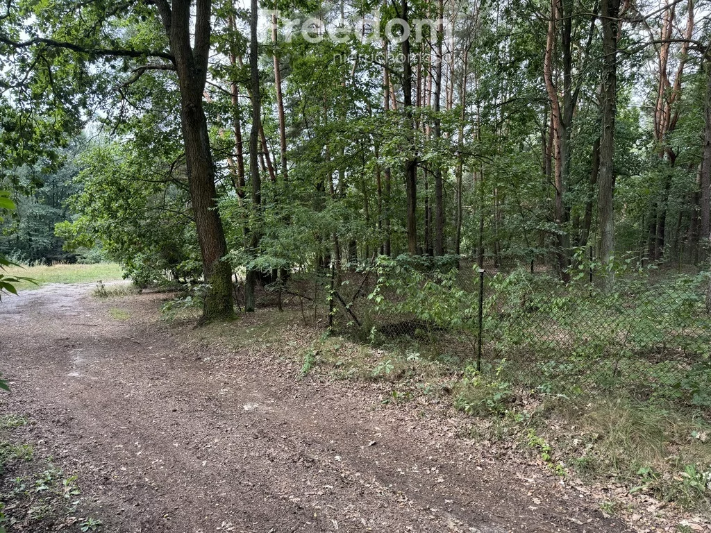 Działka 2 368,00 m², oferta nr , 8691/3685/OGS, Dąbrowa Kozłowska