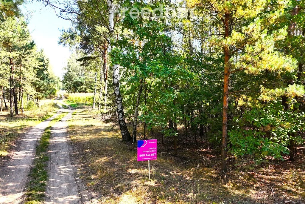 Apartamenty 11256/3685/OGS Dąbrówka-Ług