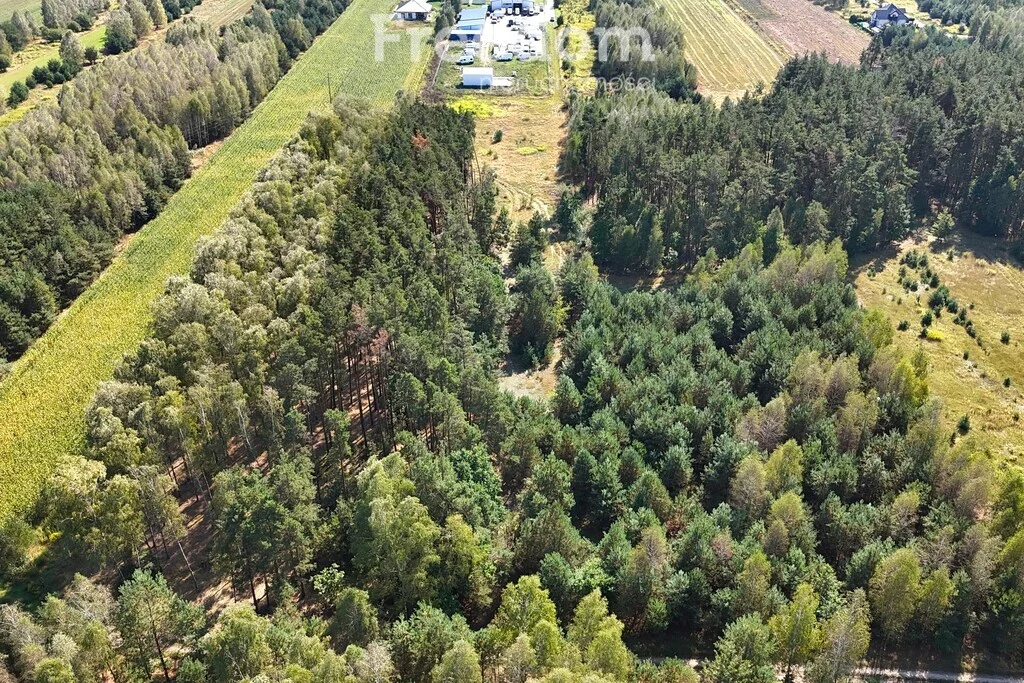 Działka 3 140,00 m², oferta nr , 11256/3685/OGS, Dąbrówka-Ług