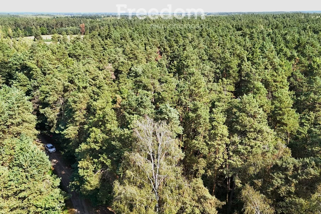 Działka 2 000,00 m², oferta nr , 11258/3685/OGS, Dąbrówka-Ług