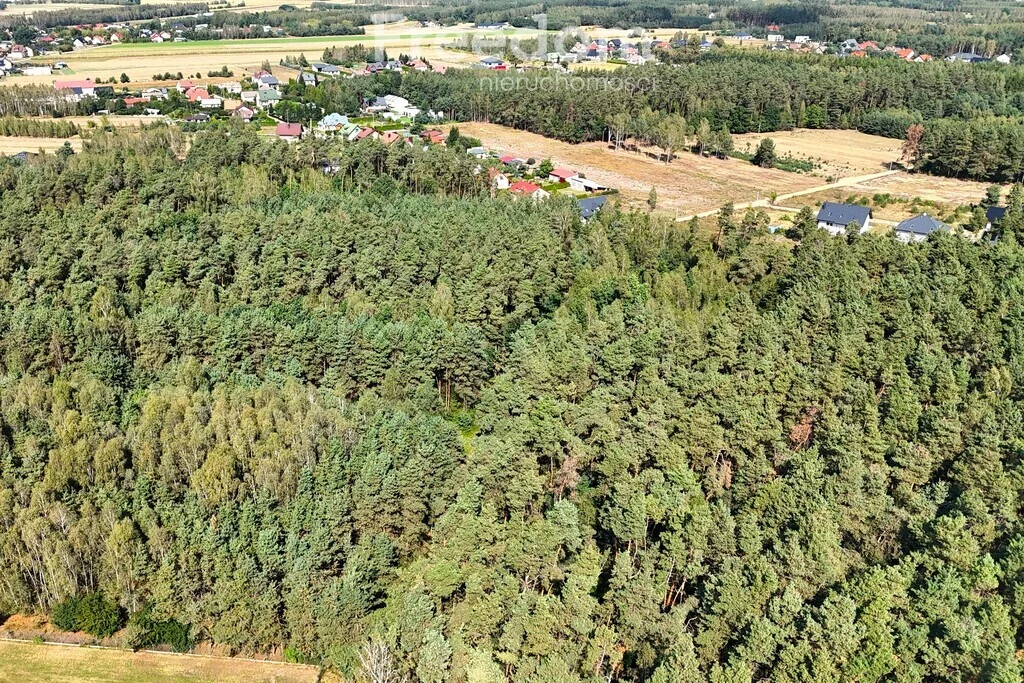 Działka 2 000,00 m², oferta nr , 11258/3685/OGS, Dąbrówka-Ług