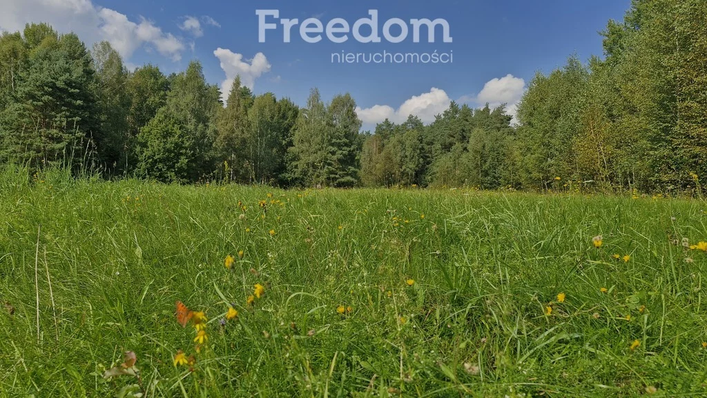 Apartamenty 11264/3685/OGS Dąbrówka Wielka