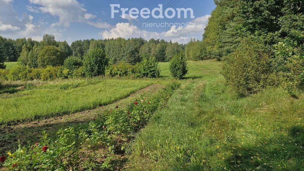 Działka 45 001,00 m², oferta nr , 11264/3685/OGS, Dąbrówka Wielka