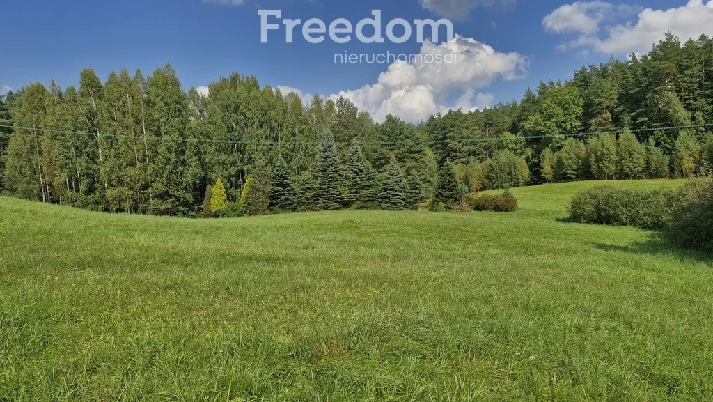 Działka 45 001,00 m², oferta nr , 11264/3685/OGS, Dąbrówka Wielka