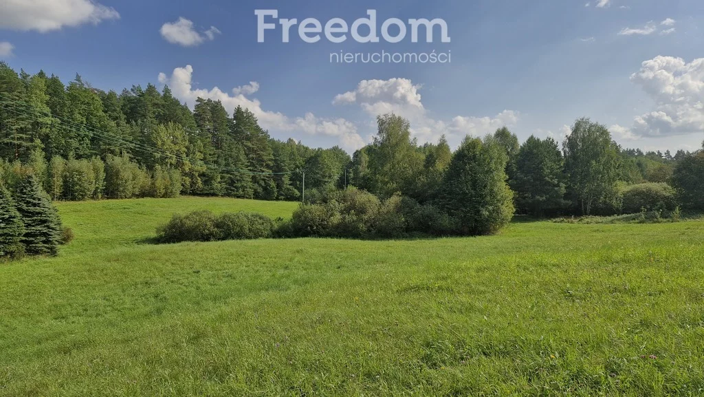 Działka 45 001,00 m², oferta nr , 11264/3685/OGS, Dąbrówka Wielka