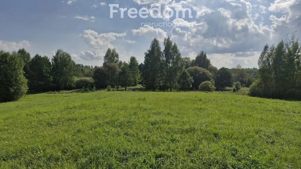 Działka 45 001,00 m², oferta nr , 11264/3685/OGS, Dąbrówka Wielka