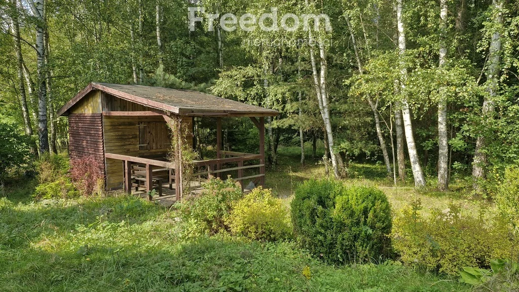 Działka 45 001,00 m², oferta nr , 11264/3685/OGS, Dąbrówka Wielka
