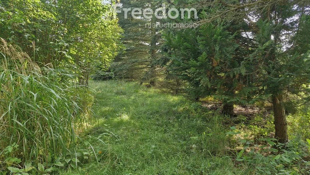 Działka 45 001,00 m², oferta nr , 11264/3685/OGS, Dąbrówka Wielka
