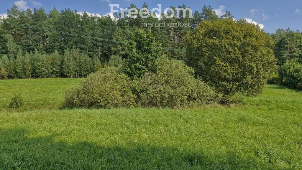 Działka 45 001,00 m², oferta nr , 11264/3685/OGS, Dąbrówka Wielka