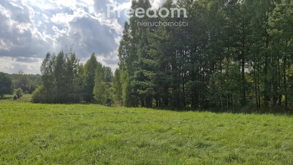 Działka 45 001,00 m², oferta nr , 11264/3685/OGS, Dąbrówka Wielka