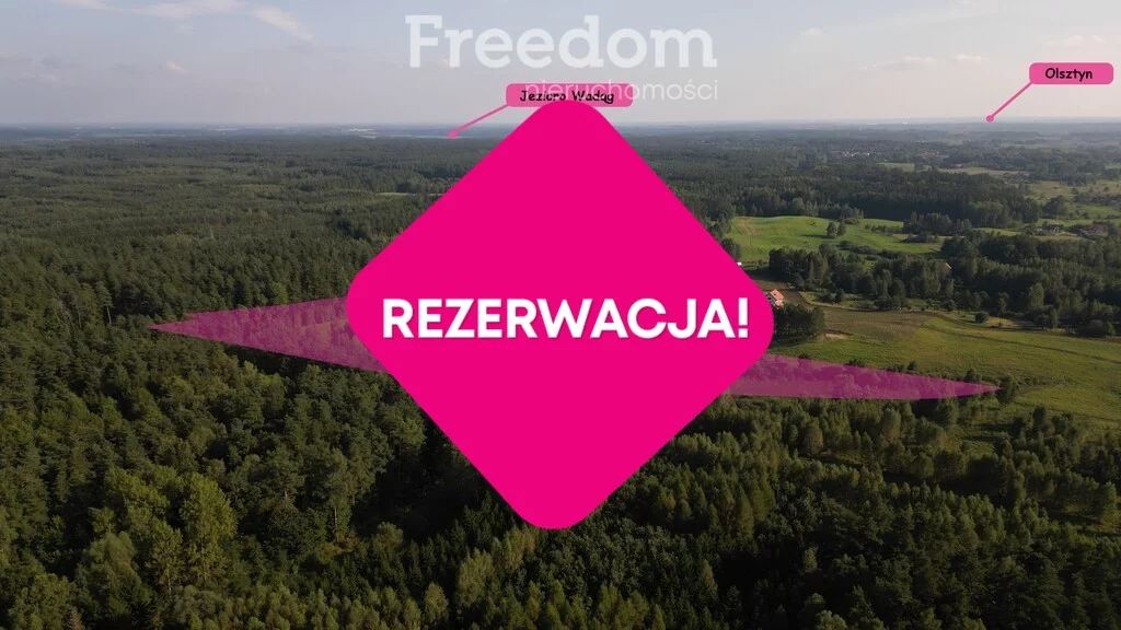 Działka 45 001,00 m², oferta nr , 11264/3685/OGS, Dąbrówka Wielka