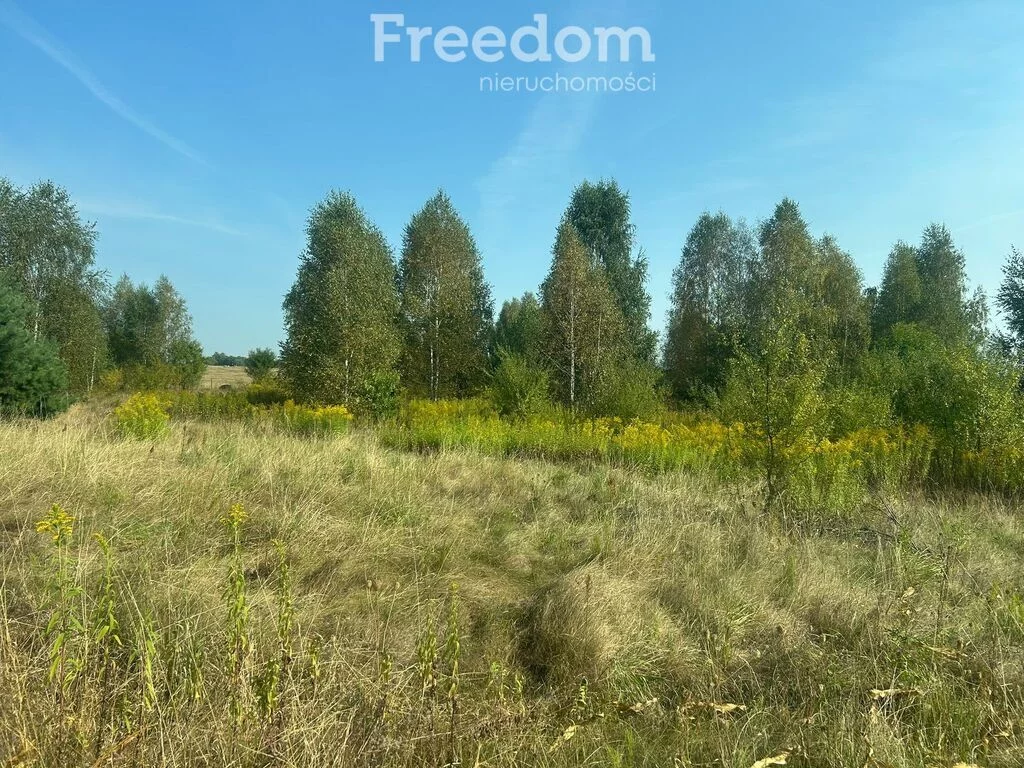 Działka 3 139,00 m², oferta nr , 11306/3685/OGS, Damianów