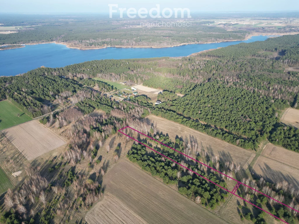 Działka 9 885,00 m², oferta nr , 10323/3685/OGS, Daniszewice
