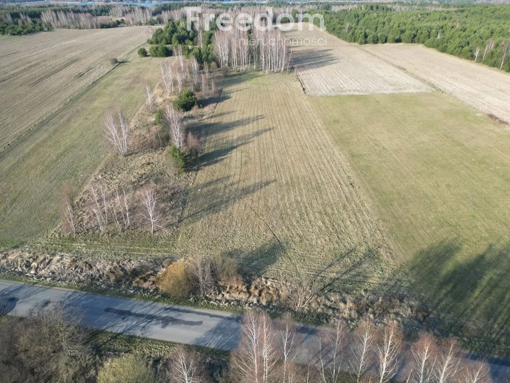 Działka 9 885,00 m², oferta nr , 10323/3685/OGS, Daniszewice