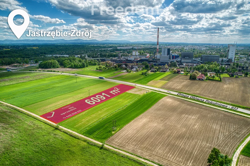 Działka 6 091,00 m², Jastrzębie-Zdrój, Dębina, Sprzedaż