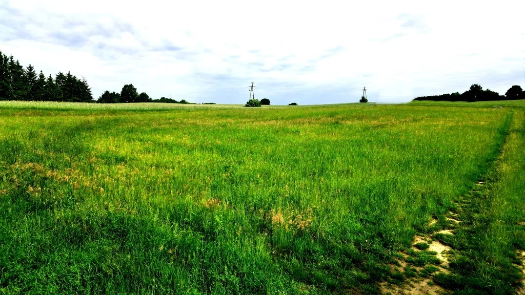 Działka 1 682,00 m², oferta nr , 10713/3685/OGS, Dębinka