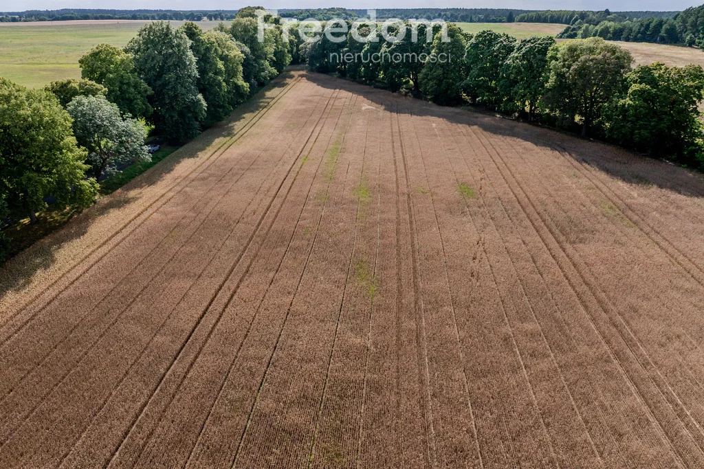 10804/3685/OGS - zdjęcie nr 4