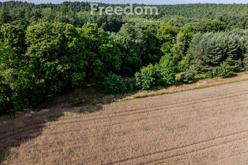 Działka 38 800,00 m², oferta nr , 10804/3685/OGS, Dłusko