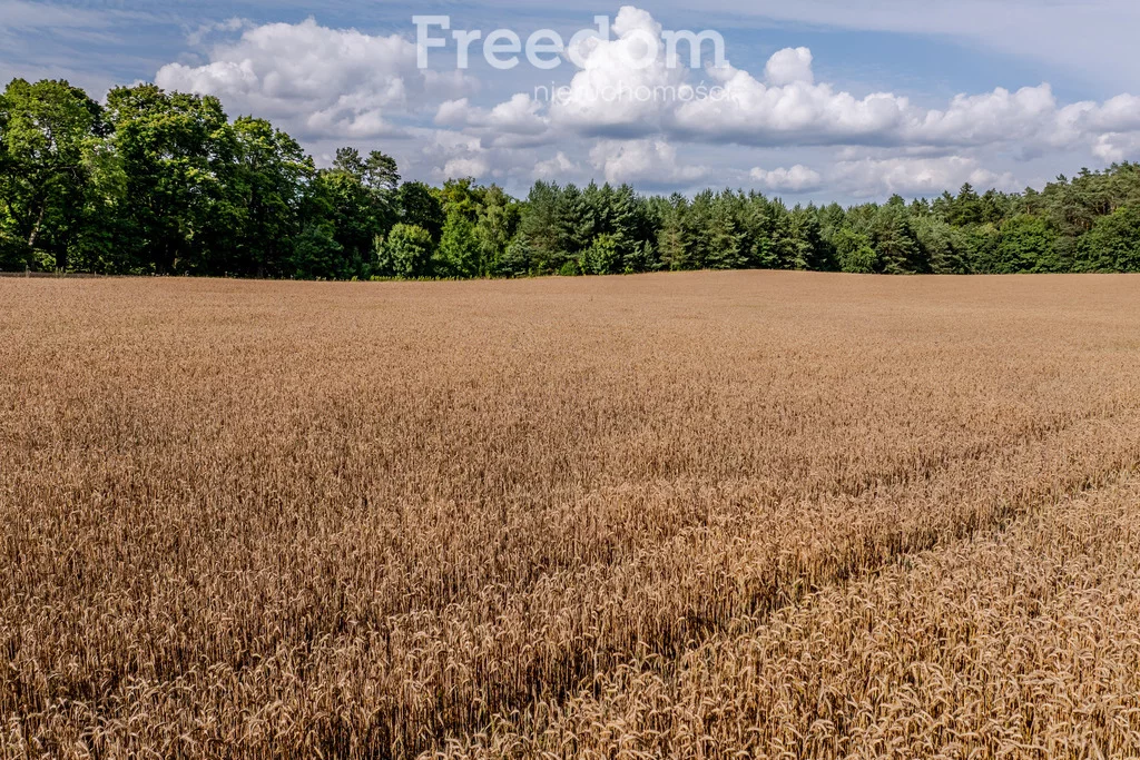Działka 38 800,00 m², oferta nr , 10804/3685/OGS, Dłusko