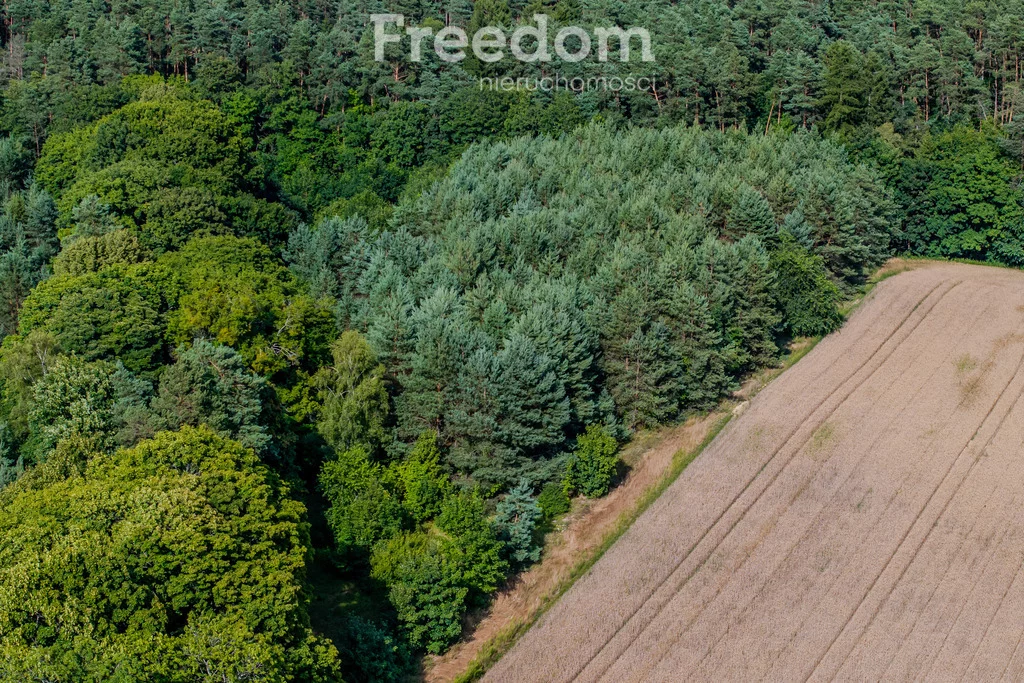 Działka 38 800,00 m², oferta nr , 10804/3685/OGS, Dłusko