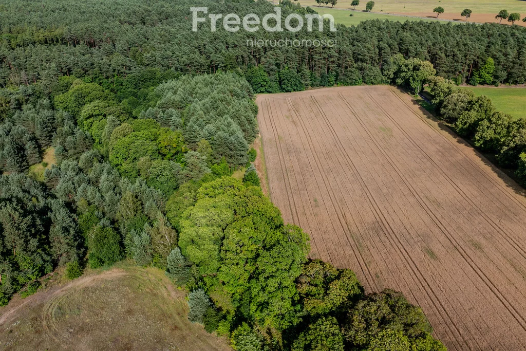 Działka 38 800,00 m², oferta nr , 10804/3685/OGS, Dłusko