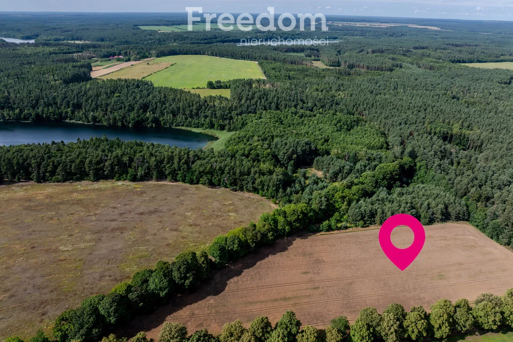 Działka 38 800,00 m², oferta nr , 10804/3685/OGS, Dłusko