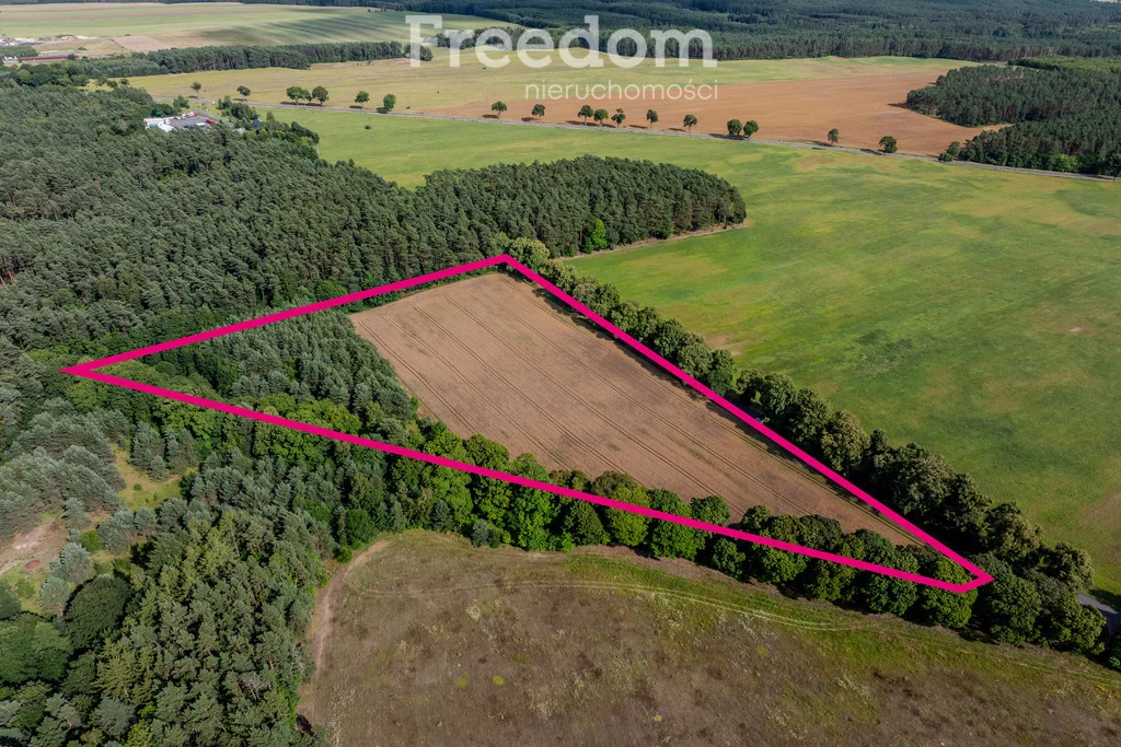 Działka 38 800,00 m², oferta nr , 10804/3685/OGS, Dłusko