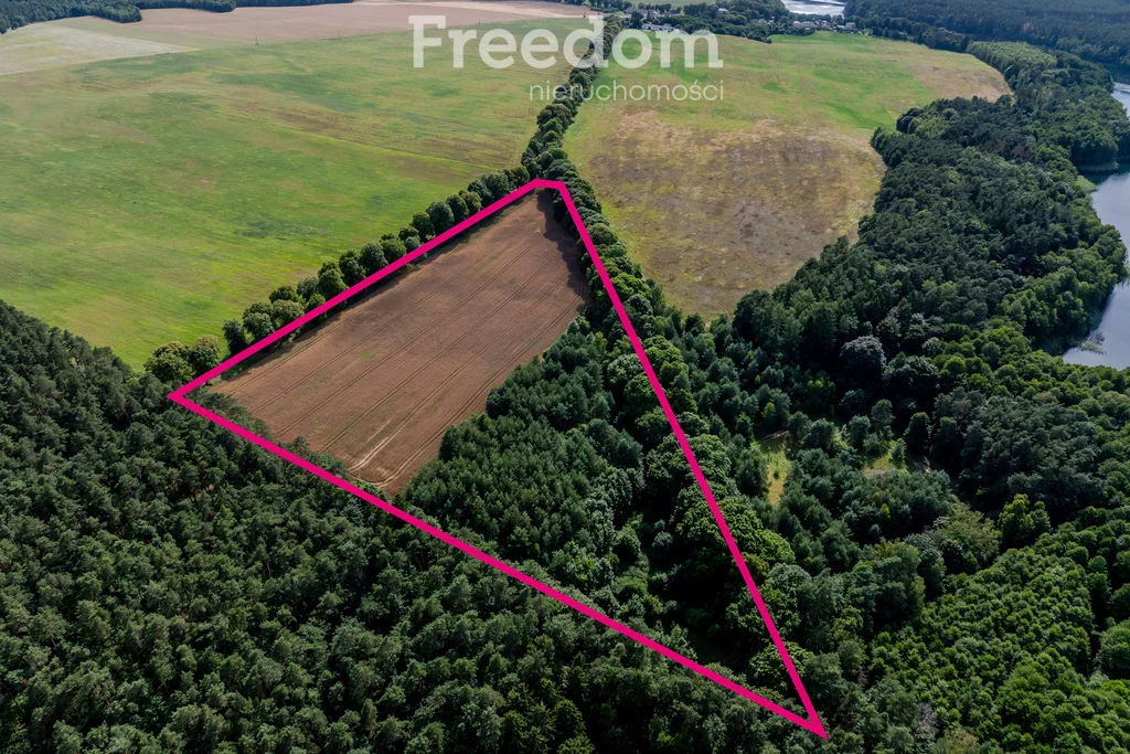 Działka 38 800,00 m², oferta nr , 10804/3685/OGS, Dłusko