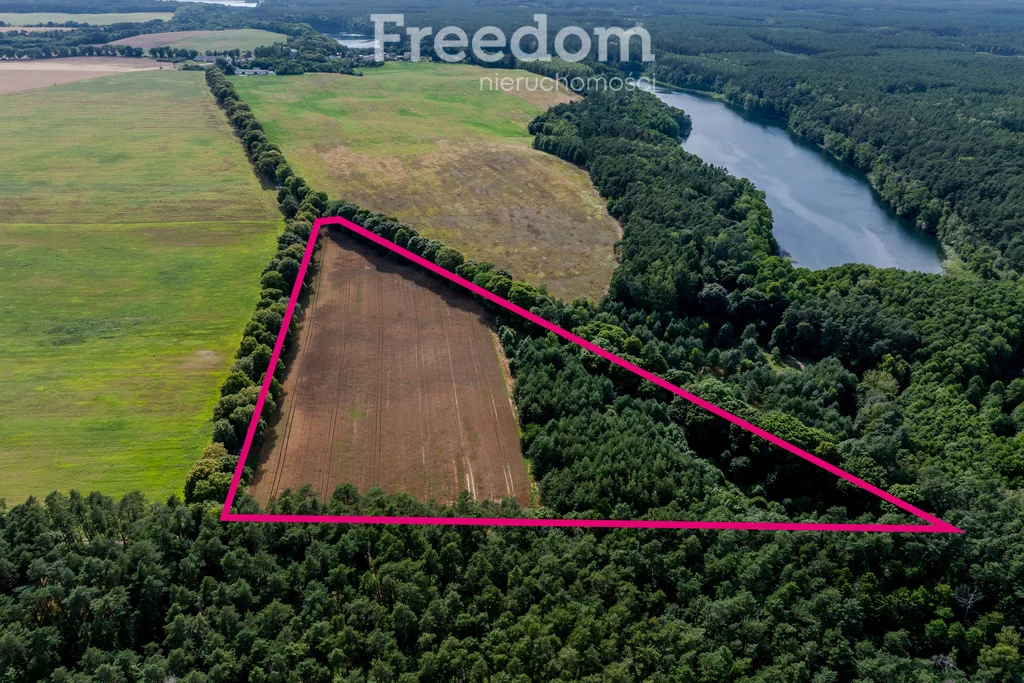 Działka 38 800,00 m², oferta nr , 10804/3685/OGS, Dłusko