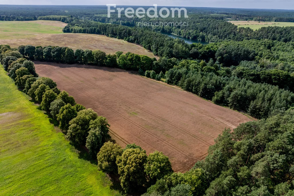 Działka 38 800,00 m², oferta nr , 10804/3685/OGS, Dłusko