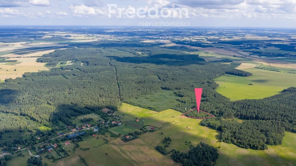 Działka 3 002,00 m², oferta nr , 11053/3685/OGS, Dobrzyń